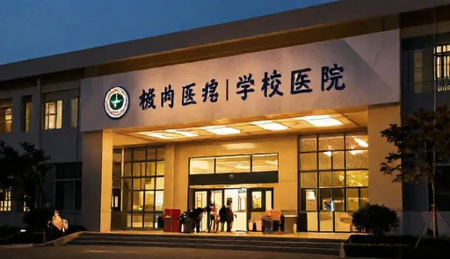 定制礼品方案的适用场景及选择依据分析